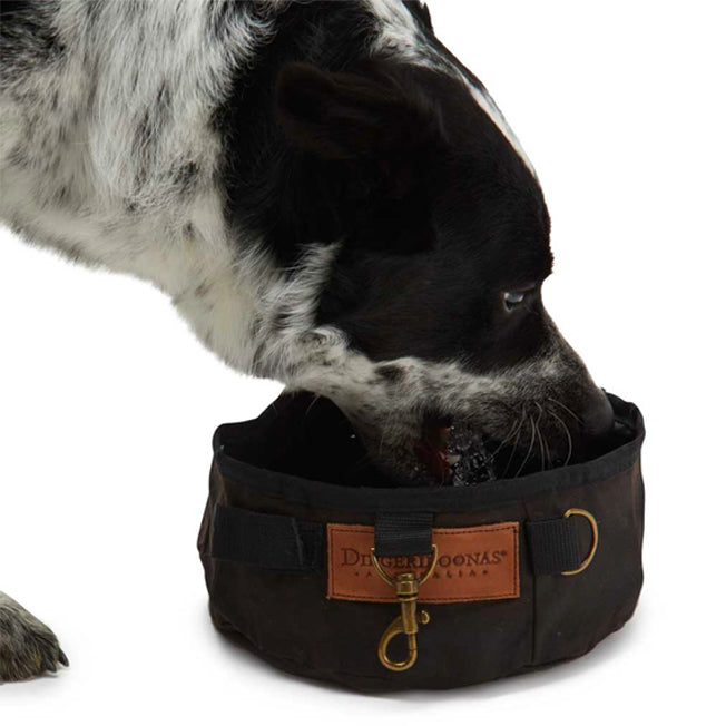 Didgeridoonas Doggies Water Hole Oilskin