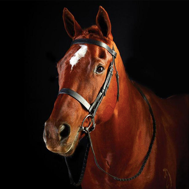 Collegiate Flat Cavesson Bridle with Reins