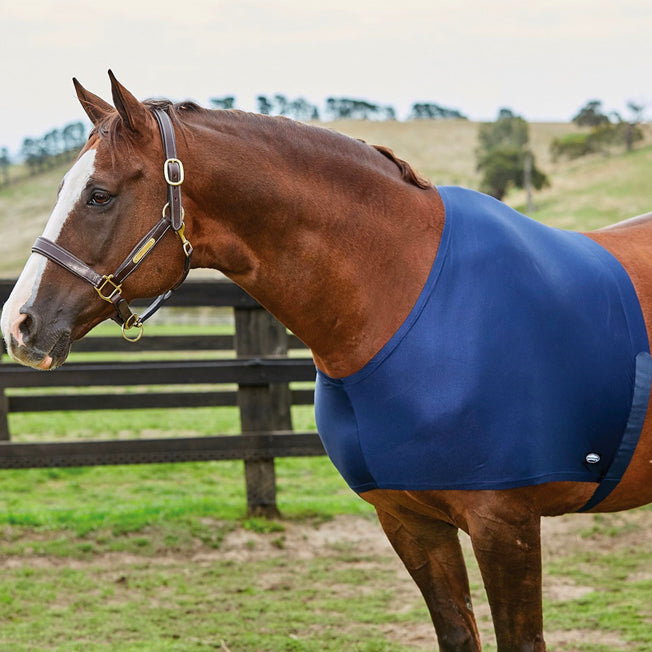 Weatherbeeta Lycra Stretch Shoulder Guard