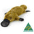 Aussie Bush Toys Platypus Soft Toy